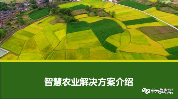 春节的标准英文翻译是啥：“Spring Festival”还是“Chinese New Year”？