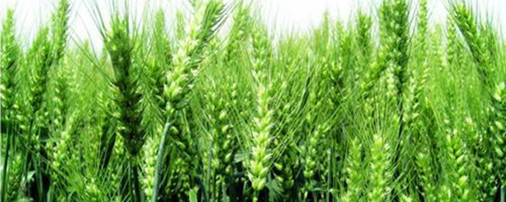 12寸以下笔记本重点评测